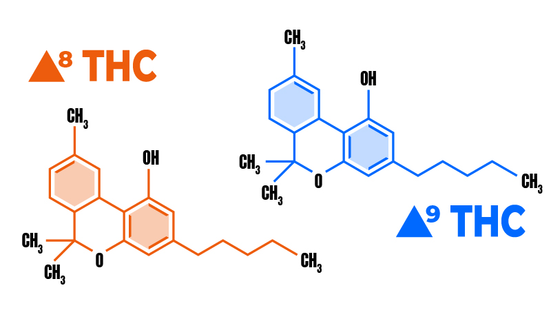 Chemical structures of Delta-8 and Delta-9 THC