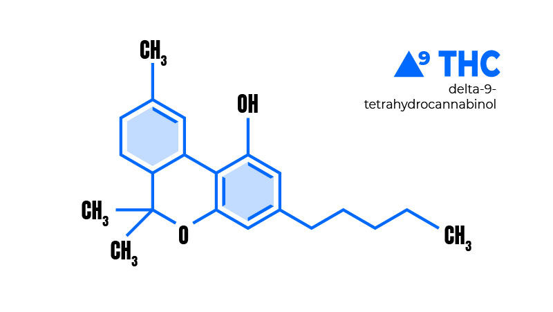 Chemical structure of Delta 9 THC