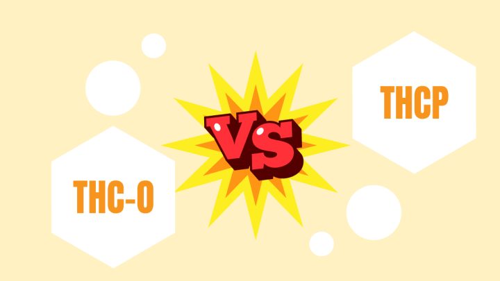 Illustration for THC-O vs THCP