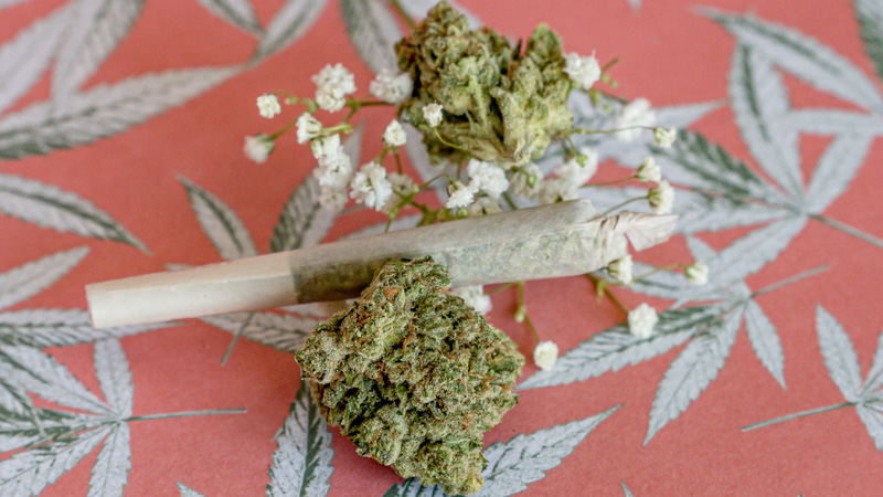 image of cannabis flowers and joints
