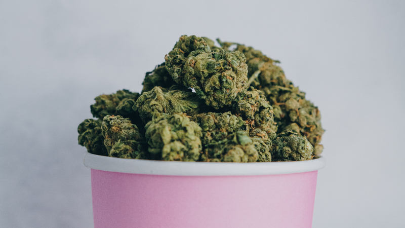 image of a bucket of marijuana flowers