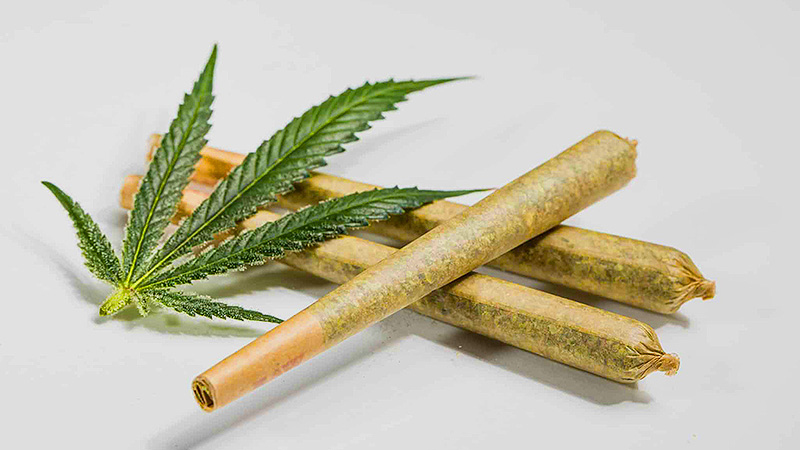 Delta 8 pre-rolls placed next to a marijuana leaf.