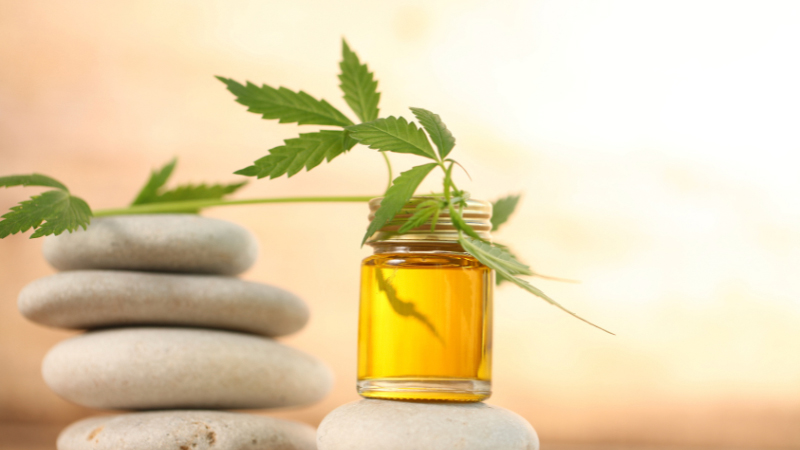 A jar of CBD oil with hemp leaves on top of a stone.