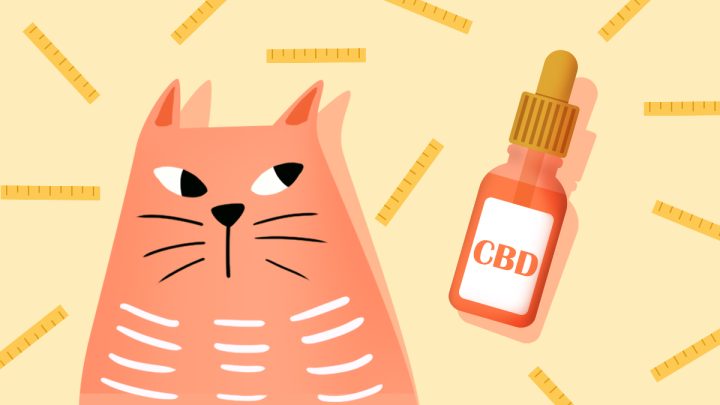 Illustration of a cat with CBD oil bottle and measurement devices pattern background