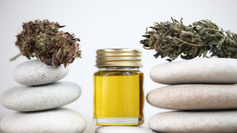Hemp oil and cannabis buds 
