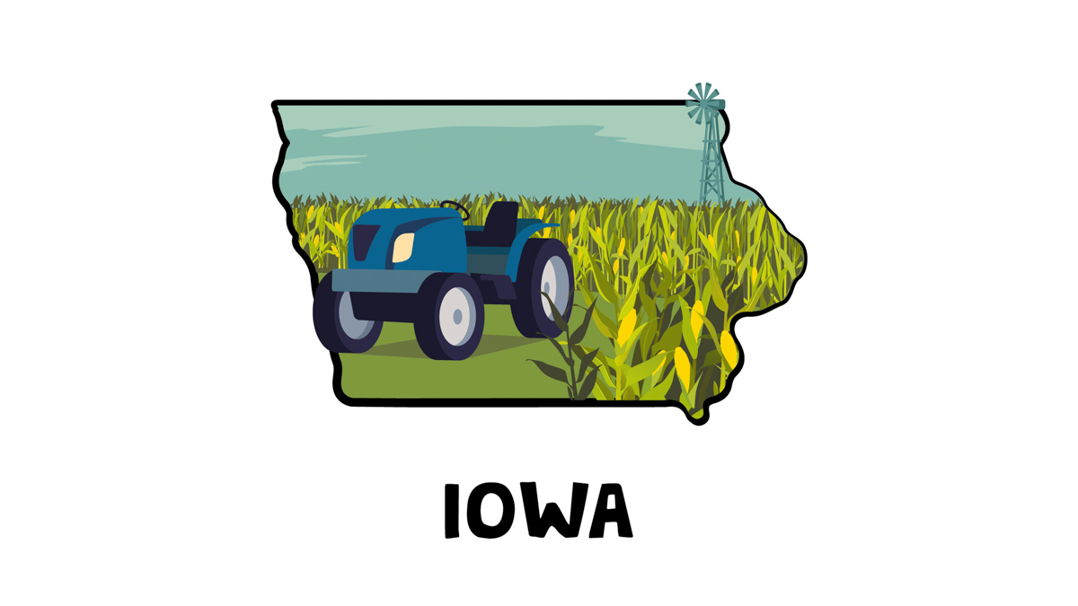 Illustration of a corn field with a tractor in Iowa state