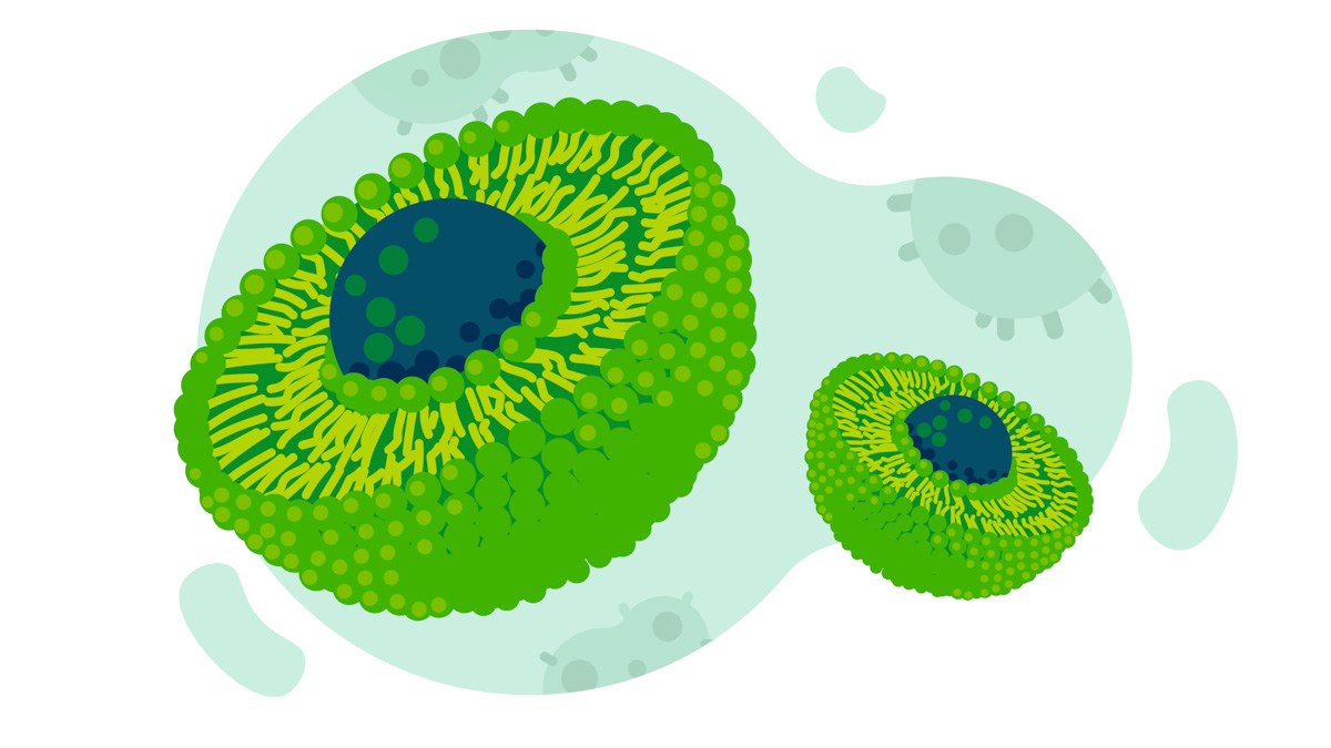 illustration of liposomal on white background