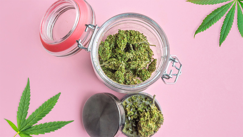 Cannabis buds in a jar in pink background