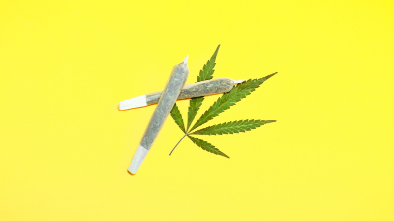 Cannabis joints with marijuana leaf on yellow background