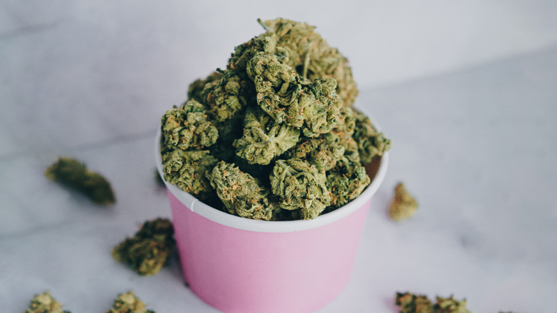 Bucket full of marijuana buds