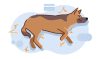 Beautiful view of Dog Epilepsy Diet Natural