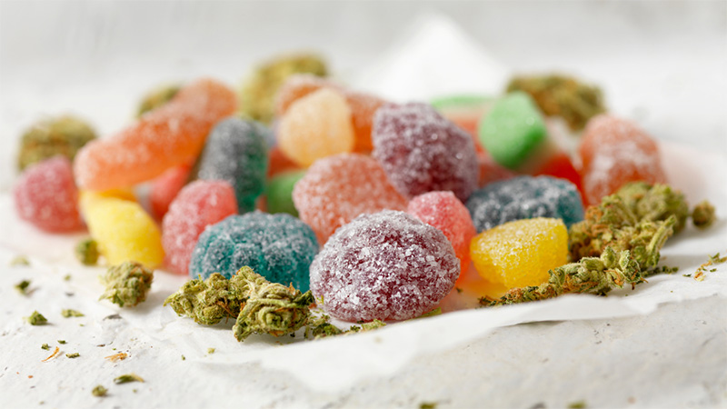 CBD gummies in various colors on a bowl with some hemp buds