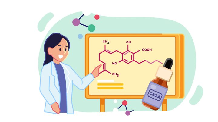 Illustration of a scientist presenting about cannabigerolic acid