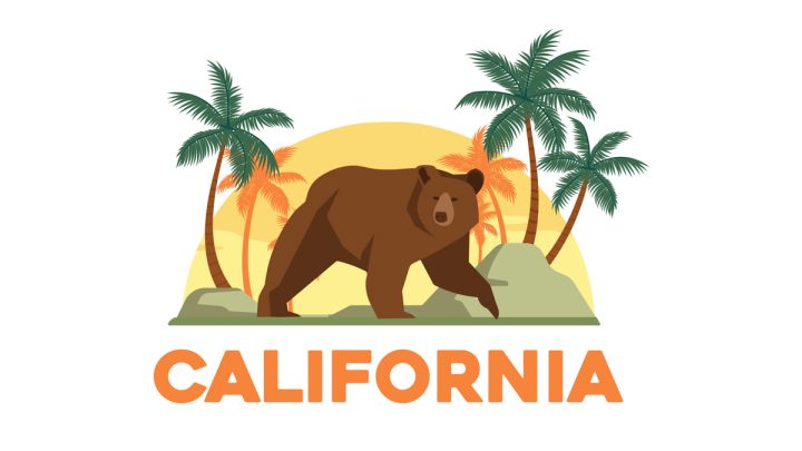 Illustration of California's state animal - grizzly bear with palm trees in the background