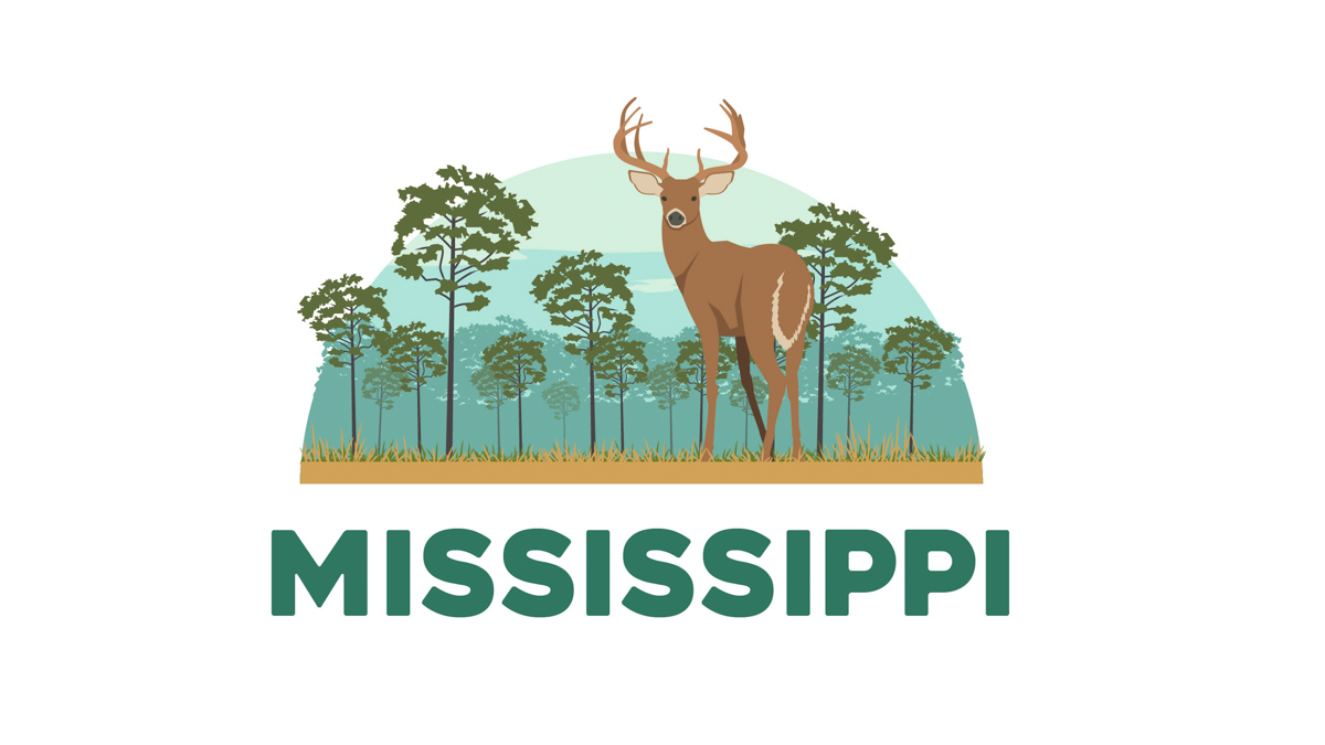 Illustration of Mississippi's state animal - white tailed deer
