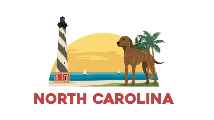 Illustration of North Carolina's state animal - The Plott Hound dog with Cape Hatteras Lighthouse
