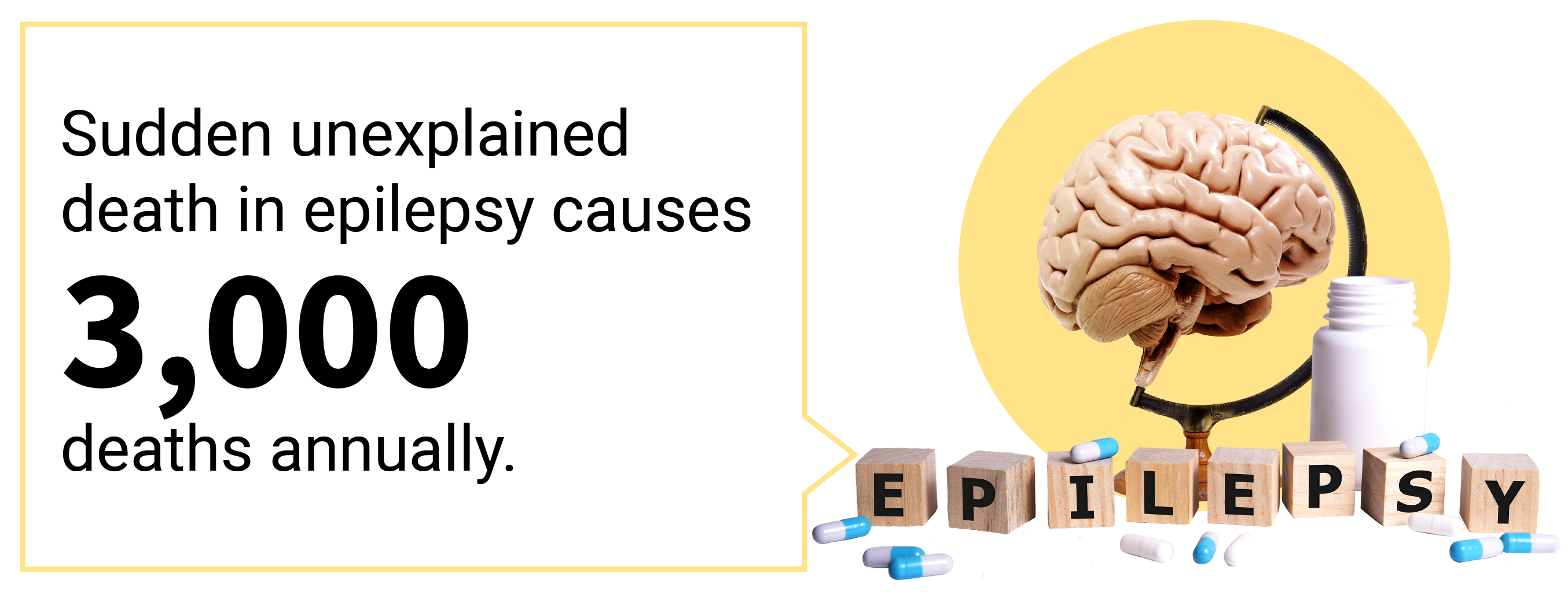 Call out text box saying SUDEP causes 3,000 deaths per year.