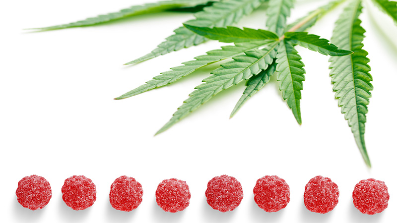 Red gummies arranged in a line with hemp leaves behind them