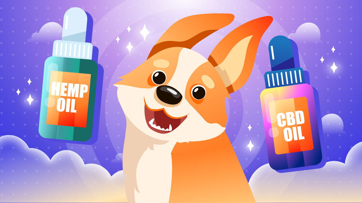 Illustration of a dog next to a bottle of CBD and hemp oil.