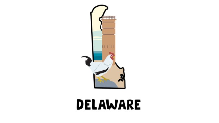Illustration of Delaware rooster and Cape Henlopen state park in the back