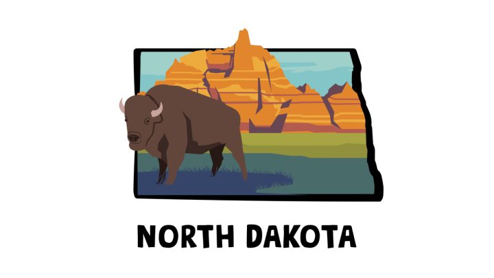 Illustration of a bison with mountains from Badlands National park in the back
