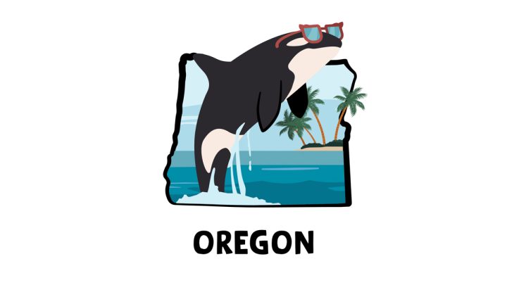 Illustration of Keiko - the Oregon Killer Whale