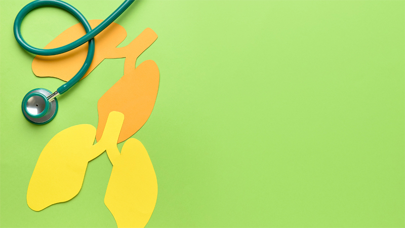 Paper shaped lungs and a stethoscope on a yellow green background