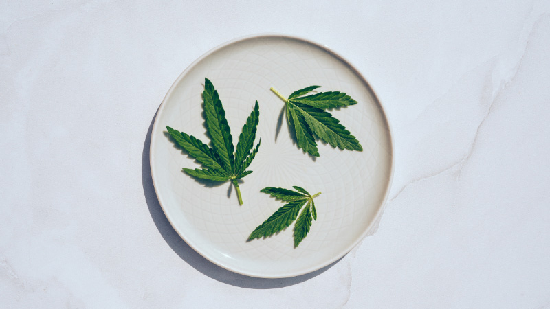 Three hemp leaves on a plate on white surface