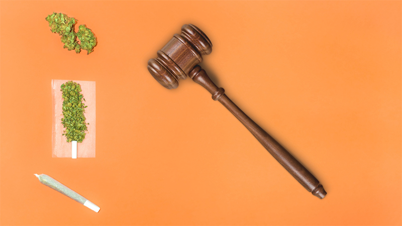 Cannabis buds, cannabis cigarette and a gavel on orange background