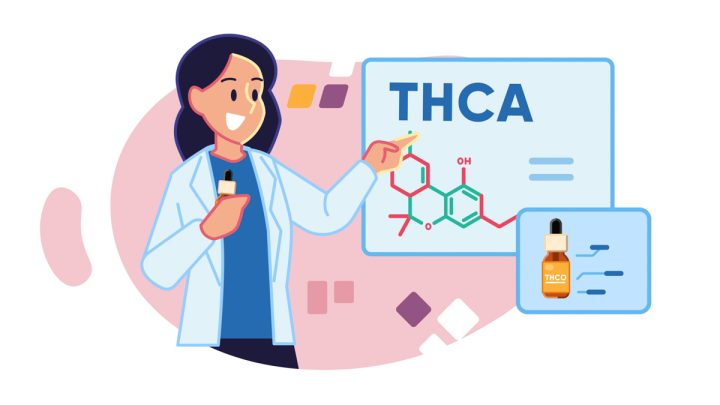 Illustration of a scientist presenting about THCA