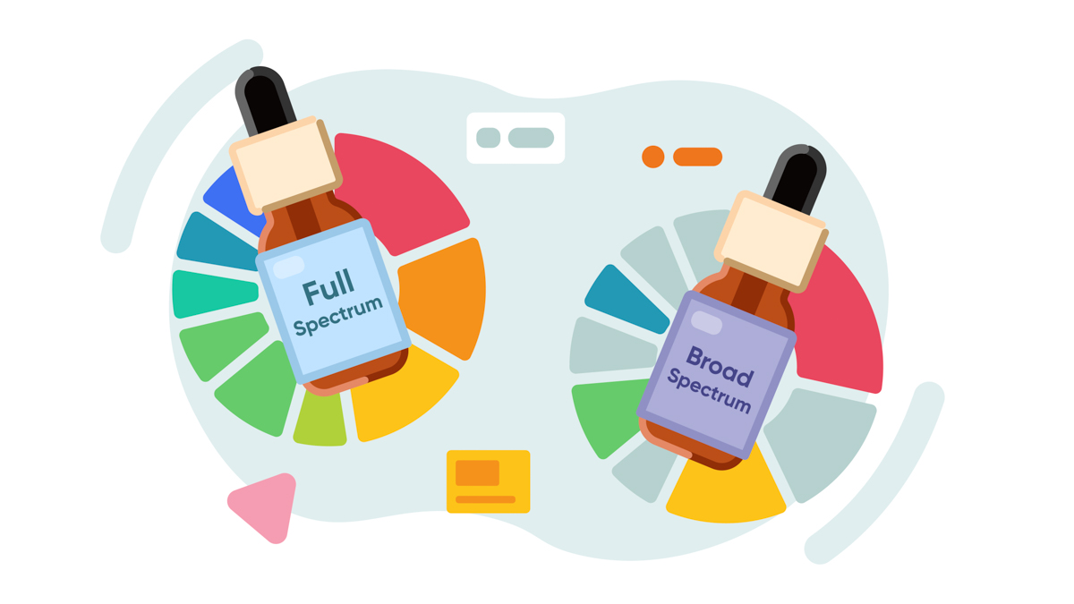 Illustration of Full Spectrum CBD oil bottle and Broad Spectrum CBD oil bottle