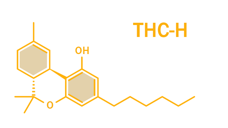 Chemical structure of THC-H