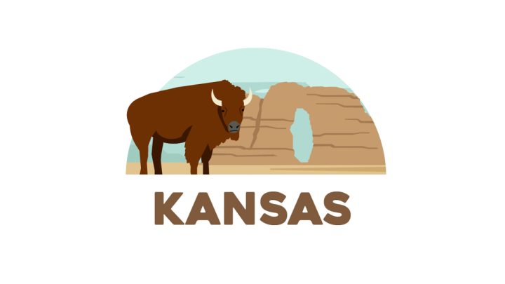 Illustration of an American Buffalo standing in front of the Monuments Rocks in Kansas