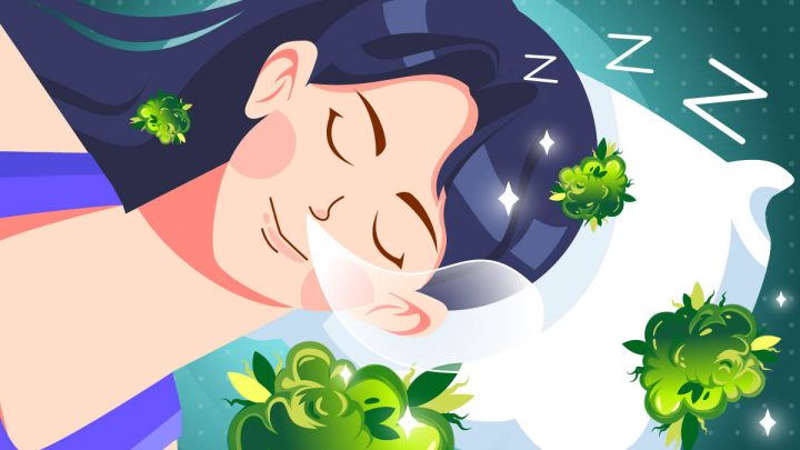 Someone sleeping with weed buds illustration