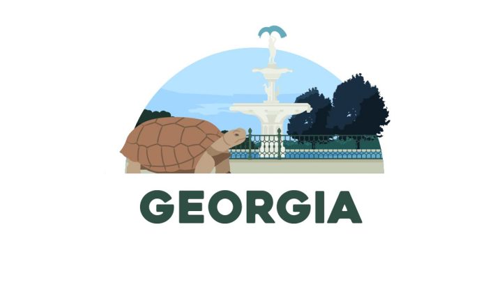 Illustration of a Gopher tortoise in front of The Forsyth Park fountain