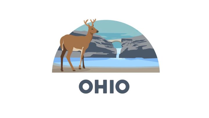 Illustration of a white-tailed deer in front of The Old Man's Cave in Ohio